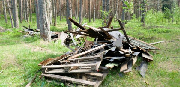 Debris Removal Service in West Bend